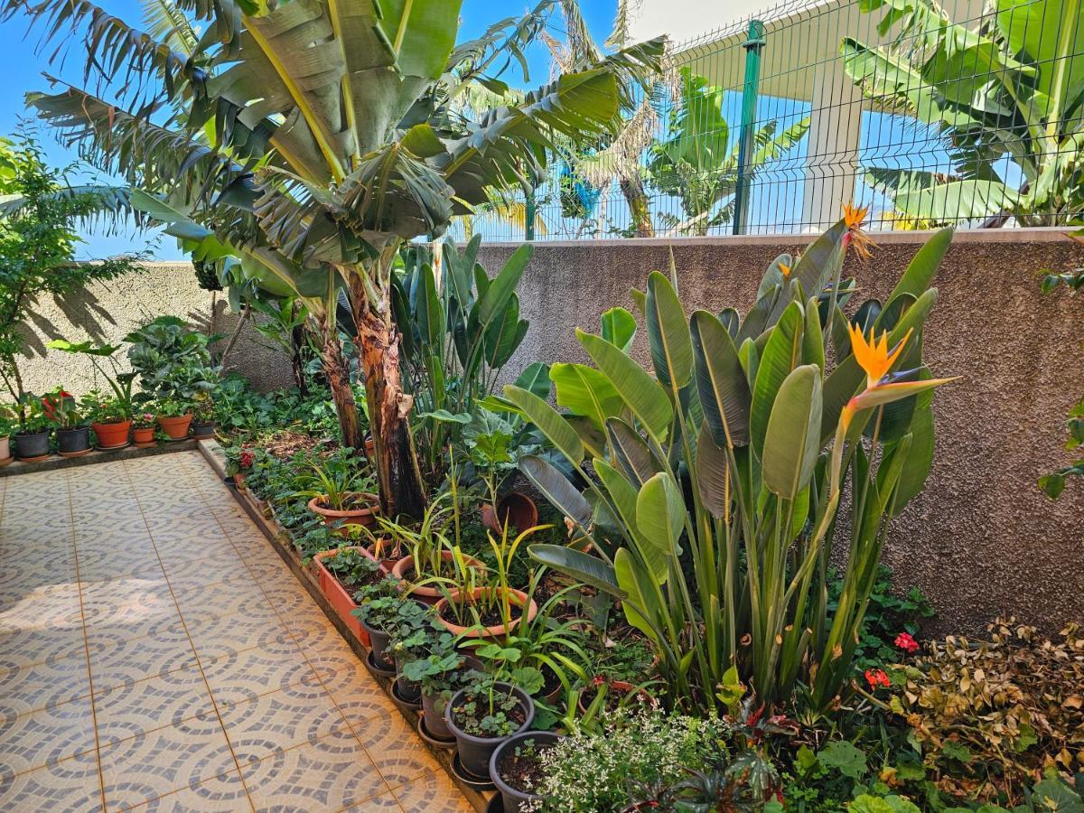 Villa Casa De Feria Do Livramento Funchal  Exterior foto